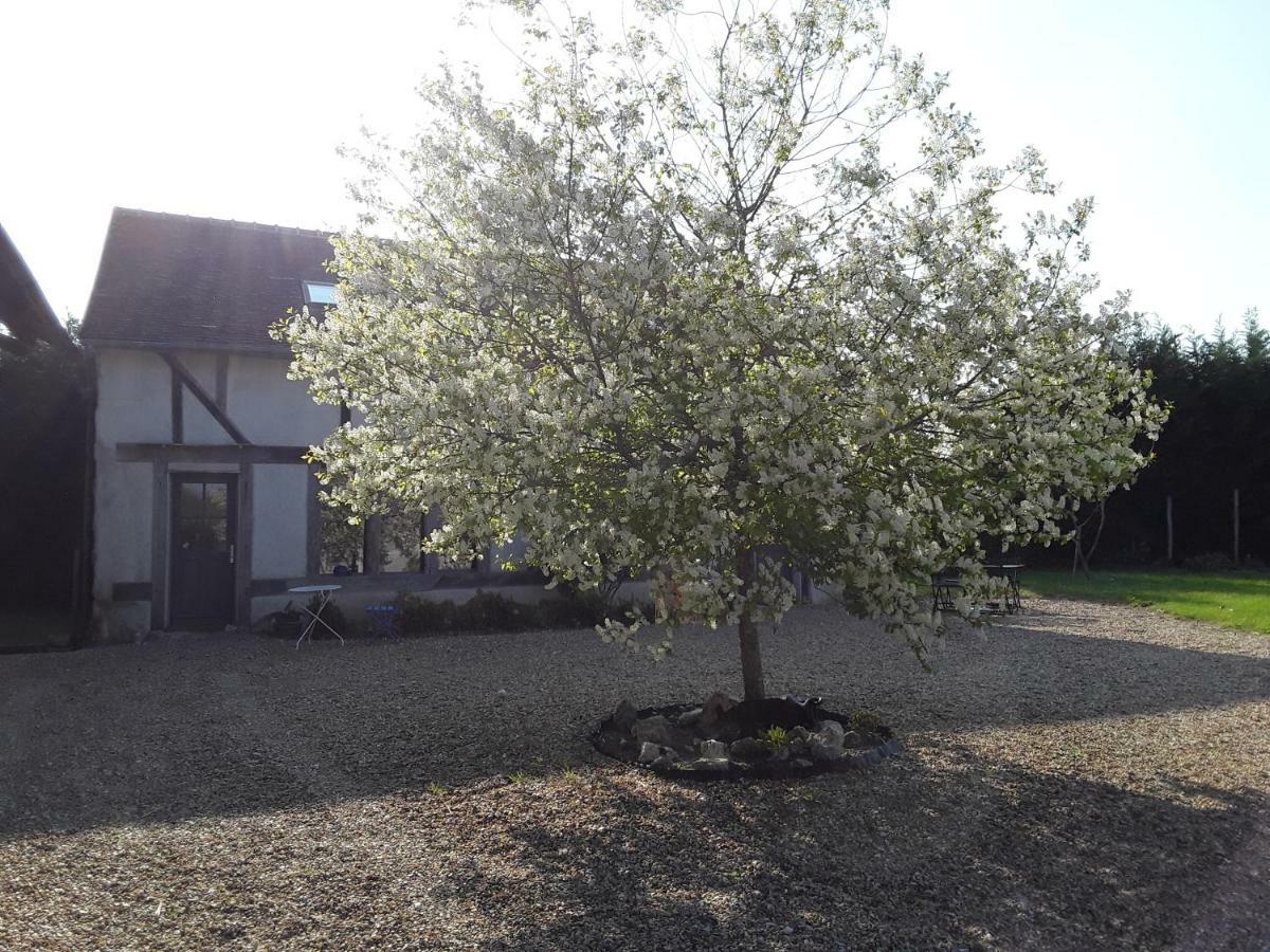 La Belvinière Chambres et table d'hôtes Tour-en-Sologne Exterior foto